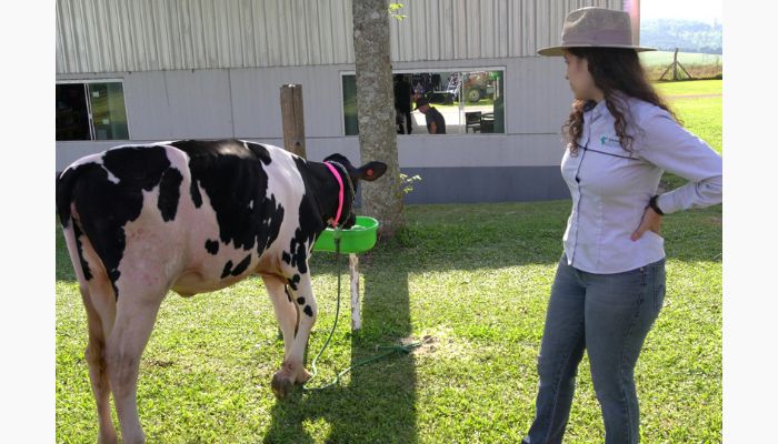  IDR levará raça Purunã, orientações sobre nutrição e técnicas de solo ao Show Rural